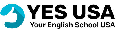 logo›